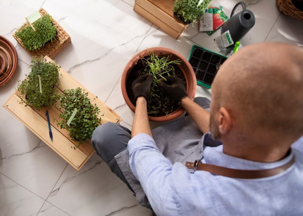 Kokedama: a lebegő kertek és a sárgolyó-művészet japán titka